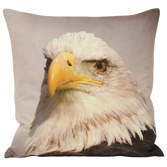 Cojín de Poliéster Animal Águila 45X45 - Image 2