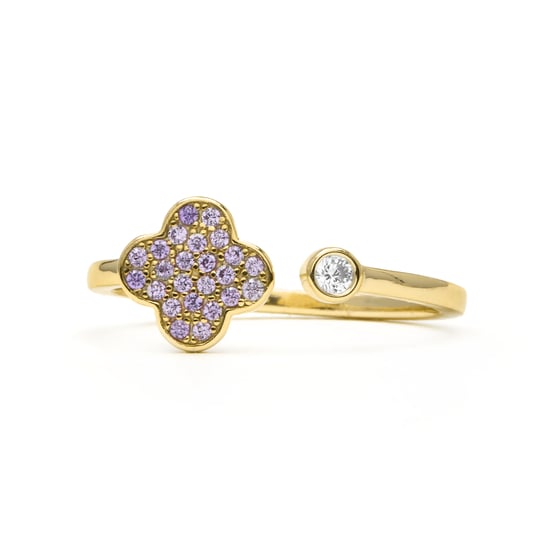 Anillo Luxenter de Plata de Ley 925 y Circonita Amatista acabado en oro amarillo 18k - Alsion - Image 5