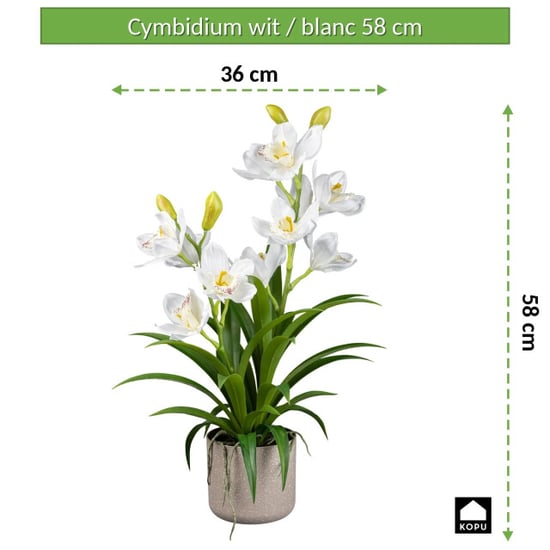 Kopu ® orquídea artificial 58 cm – en maceta de melamina gris Cymbidium - Image 2