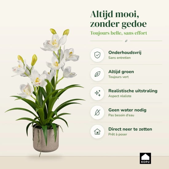 Kopu ® orquídea artificial 58 cm – en maceta de melamina gris Cymbidium - Image 5