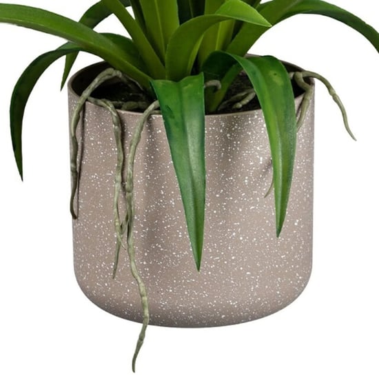 Kopu ® orquídea artificial 58 cm – en maceta de melamina gris Cymbidium - Image 6