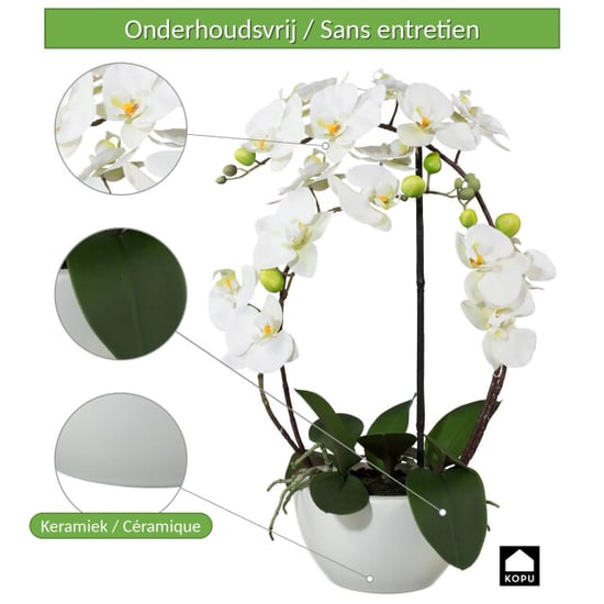 Kopu ® orquídea artificial 52 cm – en maceta de cerámica phalaenopsis - Image 2