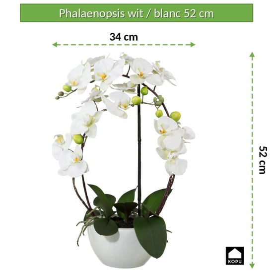 Kopu ® orquídea artificial 52 cm – en maceta de cerámica phalaenopsis - Image 3