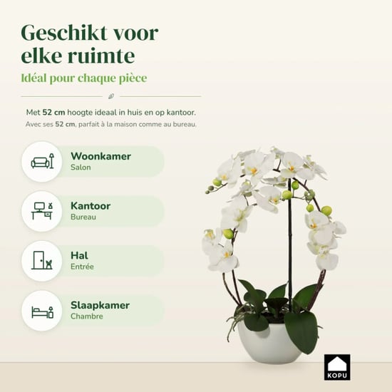 Kopu ® orquídea artificial 52 cm – en maceta de cerámica phalaenopsis - Image 4