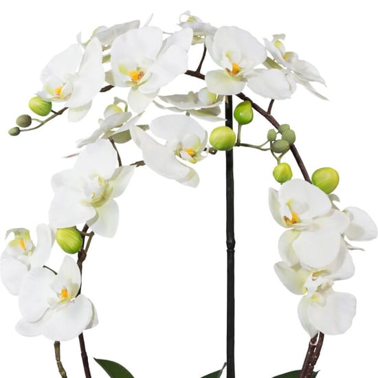 Kopu ® orquídea artificial 52 cm – en maceta de cerámica phalaenopsis - Image 5