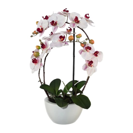 Kopu ® orquídea artificial 52 cm - maceta de cerámica blanca phalaenopsis - Image 1