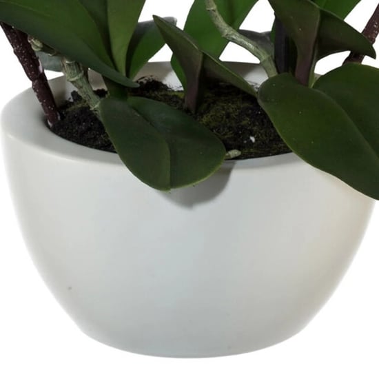 Kopu ® orquídea artificial 52 cm - maceta de cerámica blanca phalaenopsis - Image 2