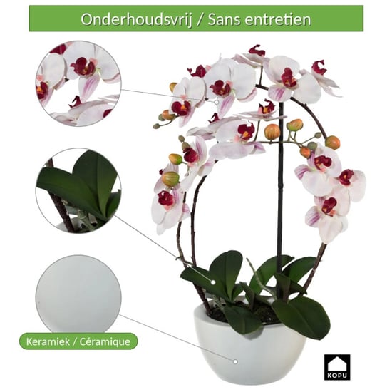 Kopu ® orquídea artificial 52 cm - maceta de cerámica blanca phalaenopsis - Image 3
