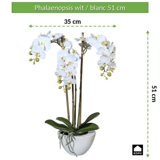 Kopu ® orquídea artificial 51 cm – en cuenco phalaenopsis - Image 2