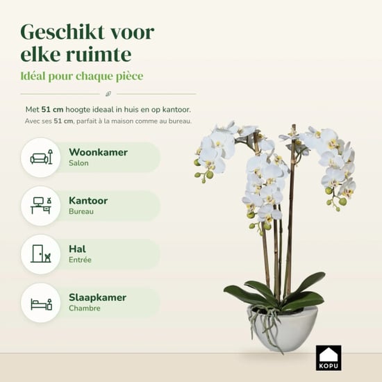 Kopu ® orquídea artificial 51 cm – en cuenco phalaenopsis - Image 4