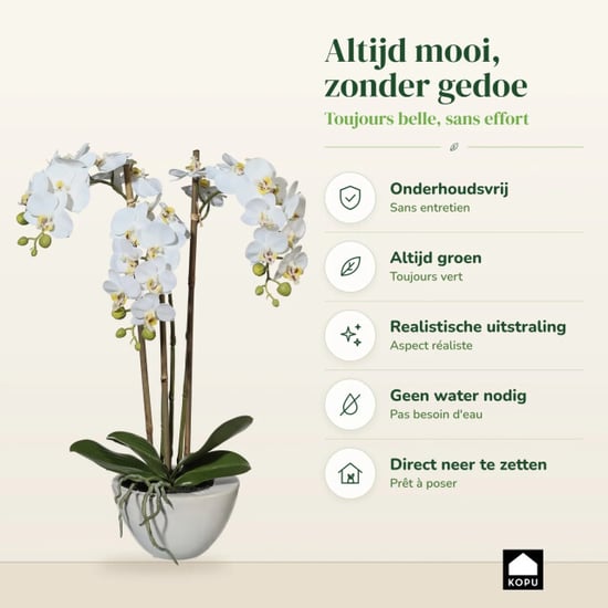 Kopu ® orquídea artificial 51 cm – en cuenco phalaenopsis - Image 5