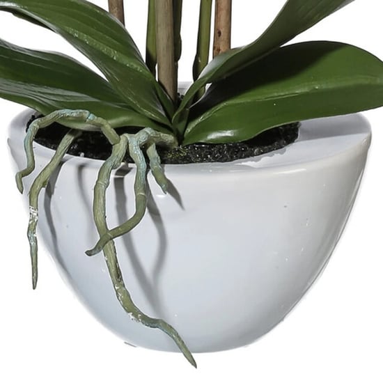 Kopu ® orquídea artificial 51 cm – en cuenco phalaenopsis - Image 6