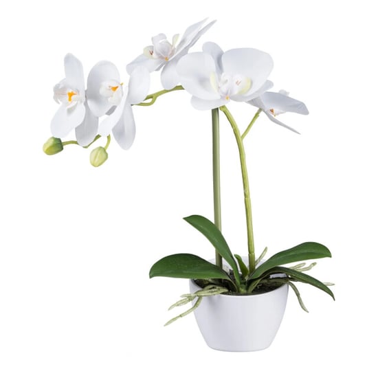 Kopu ® orquídea artificial 33 cm set de 2 - phalaenopsis en maceta - Image 1