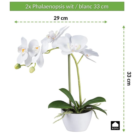 Kopu ® orquídea artificial 33 cm set de 2 - phalaenopsis en maceta - Image 2