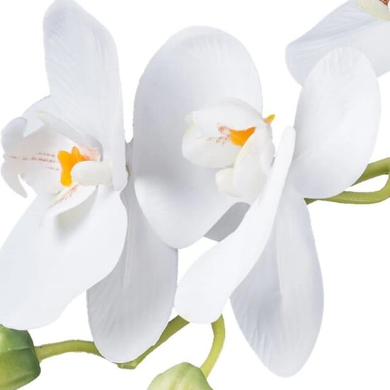 Kopu ® orquídea artificial 33 cm set de 2 - phalaenopsis en maceta - Image 3