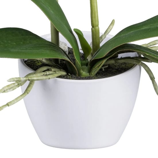 Kopu ® orquídea artificial 33 cm set de 2 - phalaenopsis en maceta - Image 5