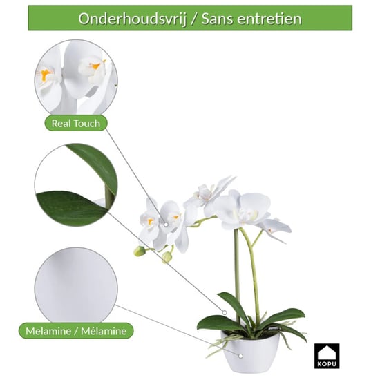 Kopu ® orquídea artificial 33 cm set de 2 - phalaenopsis en maceta - Image 6