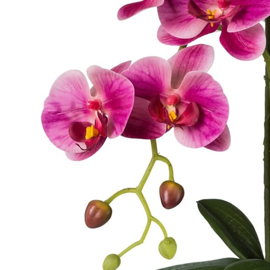 Kopu ® orquídea artificial 52 cm – maceta blanca phalaenopsis - Image 2