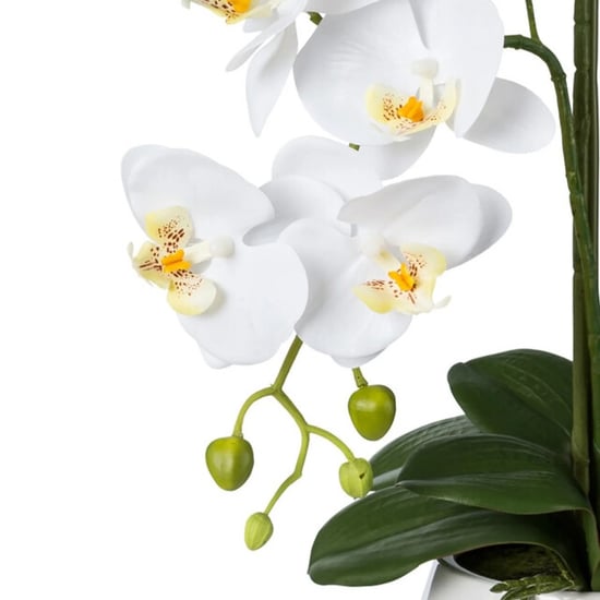 Kopu ® orquídea artificial 52 cm – en maceta de cerámica phalaenopsis - Image 2