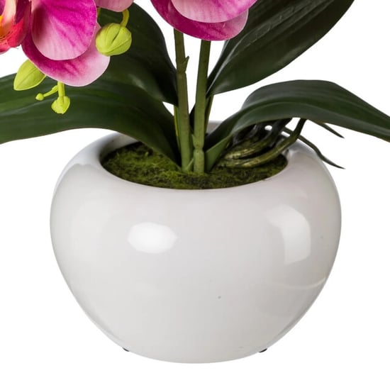 Kopu ® orquídea artificial 35 cm – maceta blanca phalaenopsis - Image 3
