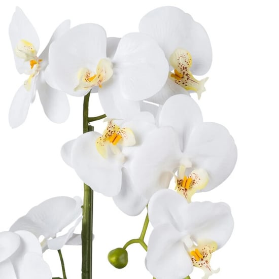 Kopu ® orquídea artificial 52 cm – en maceta de cerámica phalaenopsis - Image 3