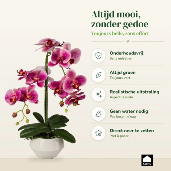 Kopu ® orquídea artificial 52 cm – maceta blanca phalaenopsis - Image 4