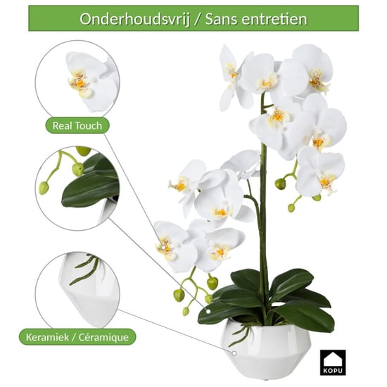 Kopu ® orquídea artificial 52 cm – en maceta de cerámica phalaenopsis - Image 4