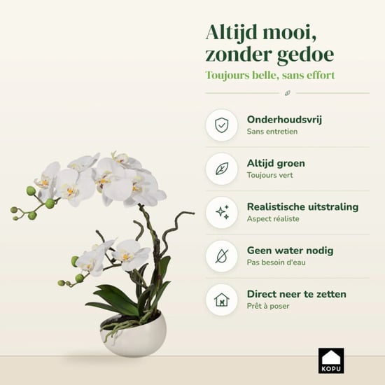 Kopu ® orquídea artificial 42 cm – en cuenco, phalaenopsis - Image 4