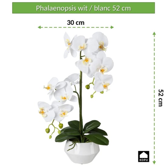 Kopu ® orquídea artificial 52 cm – en maceta de cerámica phalaenopsis - Image 5