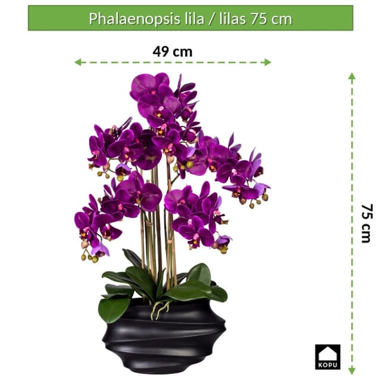 Kopu ® orquídea artificial 75 cm – jarrón negro phalaenopsis - Image 2