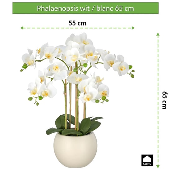 Kopu ® orquídea artificial 65 cm – phalaenopsis en maceta color crema - Image 4