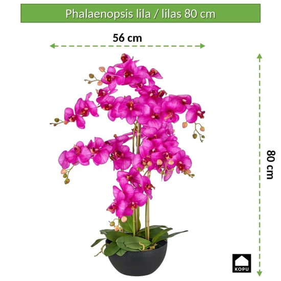 Kopu ® orquídea artificial 80 cm - cuenco negro phalaenopsis - Image 3