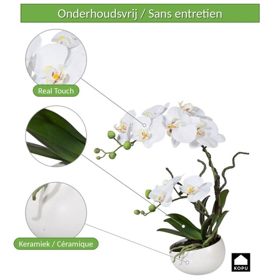 Kopu ® orquídea artificial 42 cm – en cuenco, phalaenopsis - Image 6