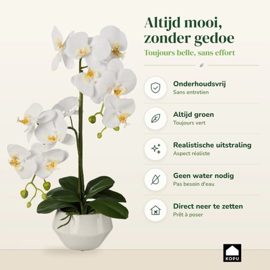 Kopu ® orquídea artificial 52 cm – en maceta de cerámica phalaenopsis - Image 6