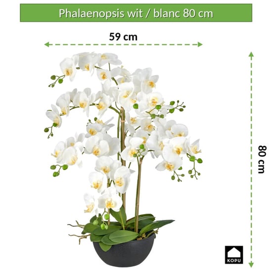 Kopu ® orquídea artificial 80 cm - cuenco negro phalaenopsis - Image 4