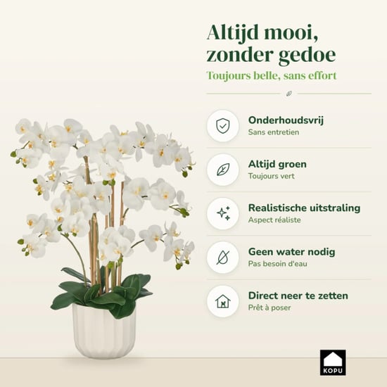 Kopu ® orquídea artificial 80 cm – 9 ramas en maceta phalaenopsis - Image 4
