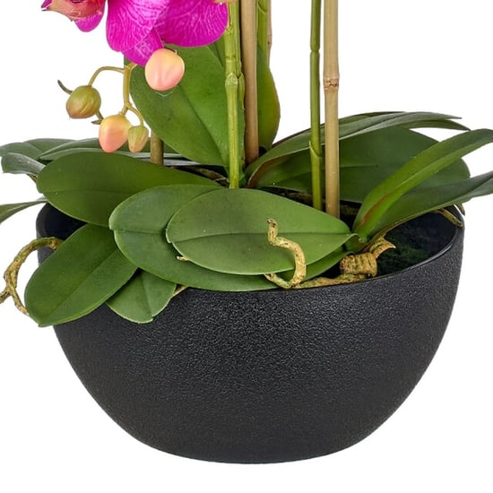 Kopu ® orquídea artificial 80 cm - cuenco negro phalaenopsis - Image 4
