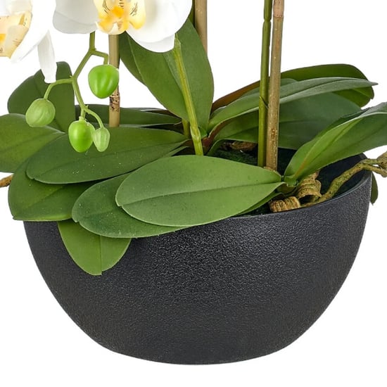 Kopu ® orquídea artificial 80 cm - cuenco negro phalaenopsis - Image 5