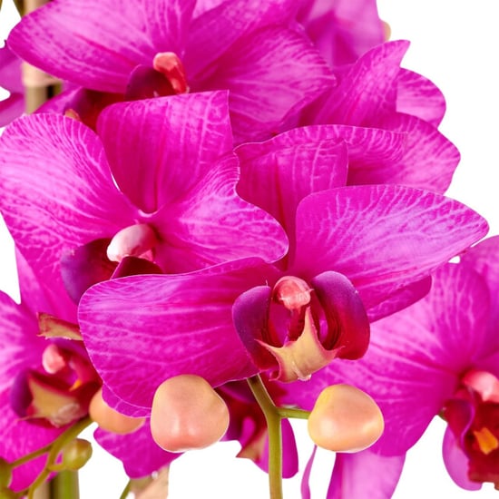 Kopu ® orquídea artificial 80 cm - cuenco negro phalaenopsis - Image 5