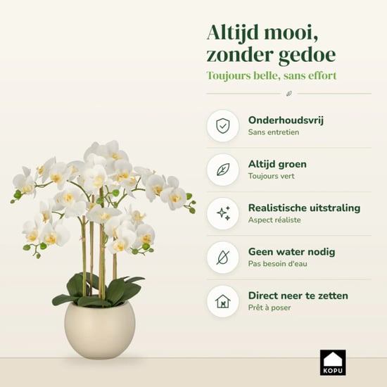 Kopu ® orquídea artificial 65 cm – phalaenopsis en maceta color crema - Image 6