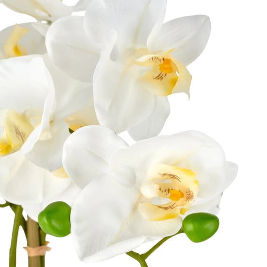 Kopu ® orquídea artificial 80 cm - cuenco negro phalaenopsis - Image 6