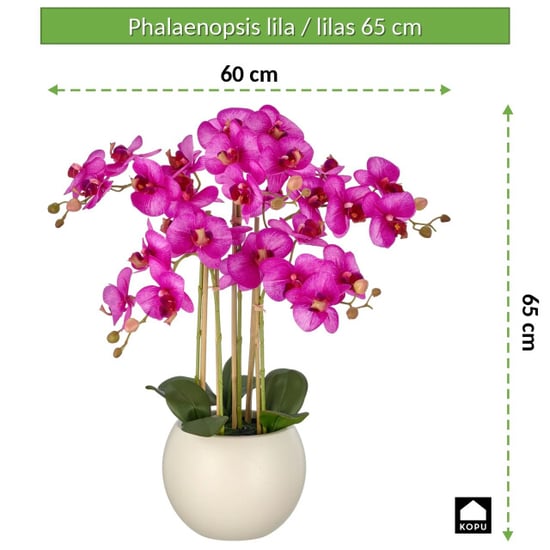 Kopu ® orquídea artificial 65 cm - maceta color crema phalaenopsis - Image 5