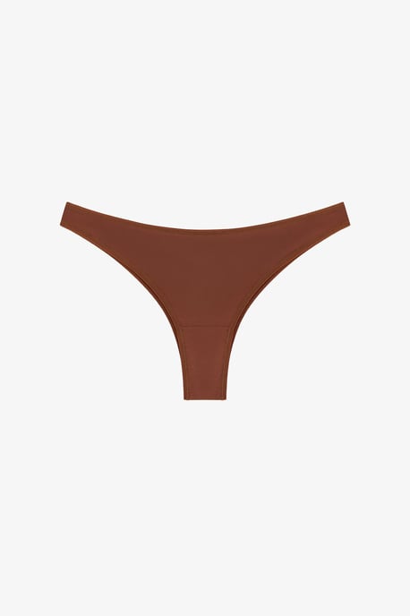 Terra Braguita brasileña - Image 3