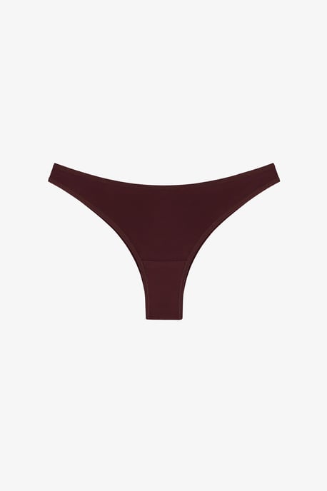 Terra Braguita brasileña - Image 4