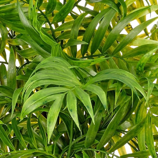 Kopu ® planta artificial palmera de montaña 60 cm maceta negra Chamaedorea - Image 3