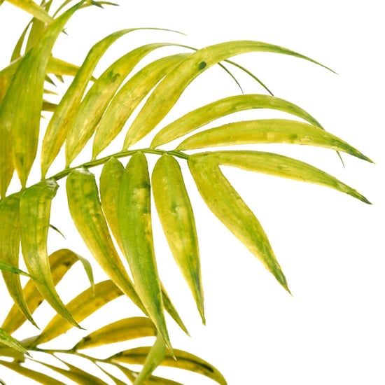 Kopu ® planta artificial palmera de montaña 60 cm maceta negra Chamaedorea - Image 6
