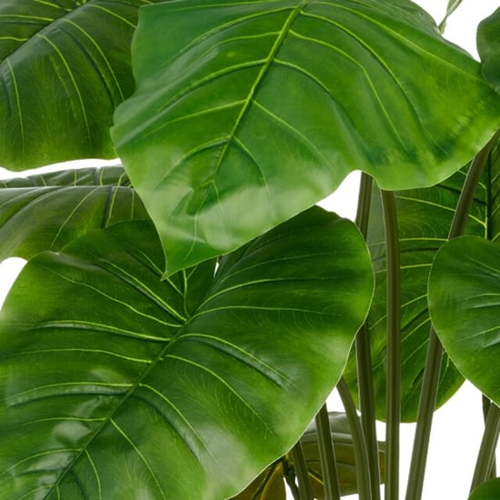 Kopu ® planta artificial de Alocasia 100 cm maceta gris oreja de elefante - Image 4