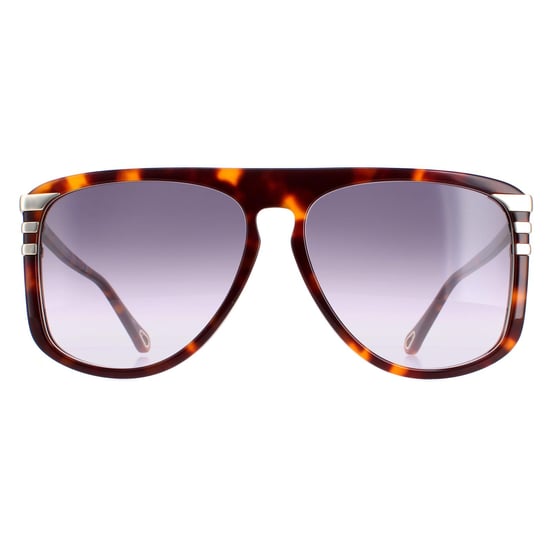 Gafas de sol Chloe CH0104S 007 brillante medio havana gris degradado - Image 1