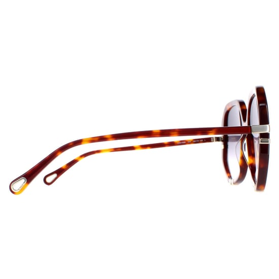 Gafas de sol Chloe CH0105S 004 Gris tortuga degradado - Image 4