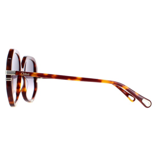 Gafas de sol Chloe CH0105S 004 Gris tortuga degradado - Image 3